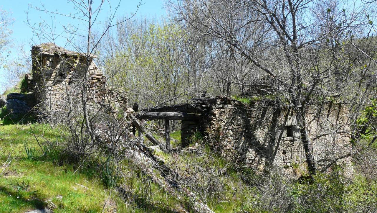 El Huerto De Leon Villa Pradena del Rincon Buitenkant foto